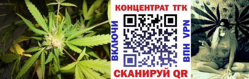 ТГК концентрат  Отрадное 