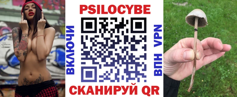 Псилоцибиновые грибы GOLDEN TEACHER цены Отрадное