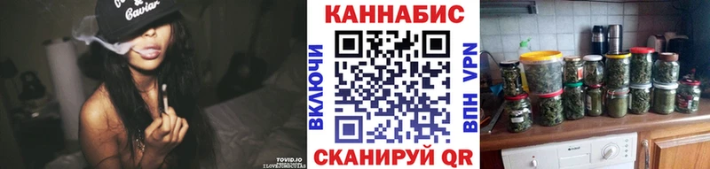 Конопля семена  где купить наркоту  OMG ссылки  Отрадное 